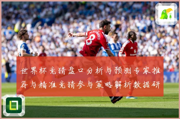 世界杯竞猜盘口分析与预测专家推荐与精准竞猜参与策略解析数据研判-深度解析