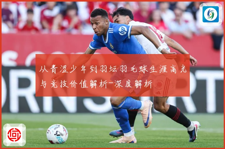 从青涩少年到羽坛羽毛球生涯高光与竞技价值解析-深度解析
