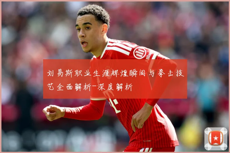 刘易斯职业生涯辉煌瞬间与拳击技艺全面解析-深度解析