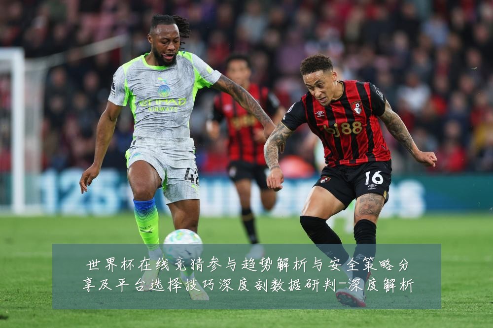 世界杯在线竞猜参与趋势解析与安全策略分享及平台选择技巧深度剖数据研判-深度解析
