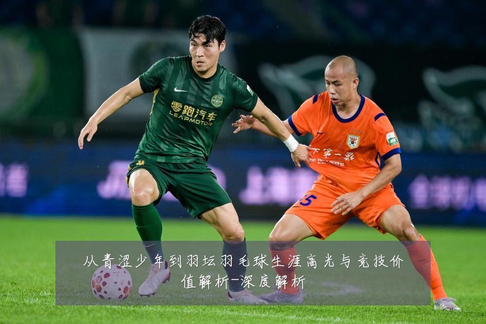从青涩少年到羽坛羽毛球生涯高光与竞技价值解析-深度解析